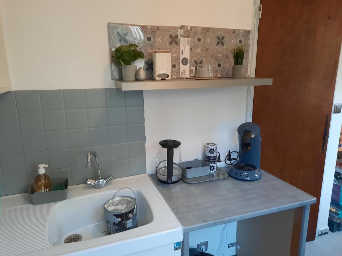 Studio Renove Au Coeur Du Village Saint-Martin-Vésubie 외부 사진